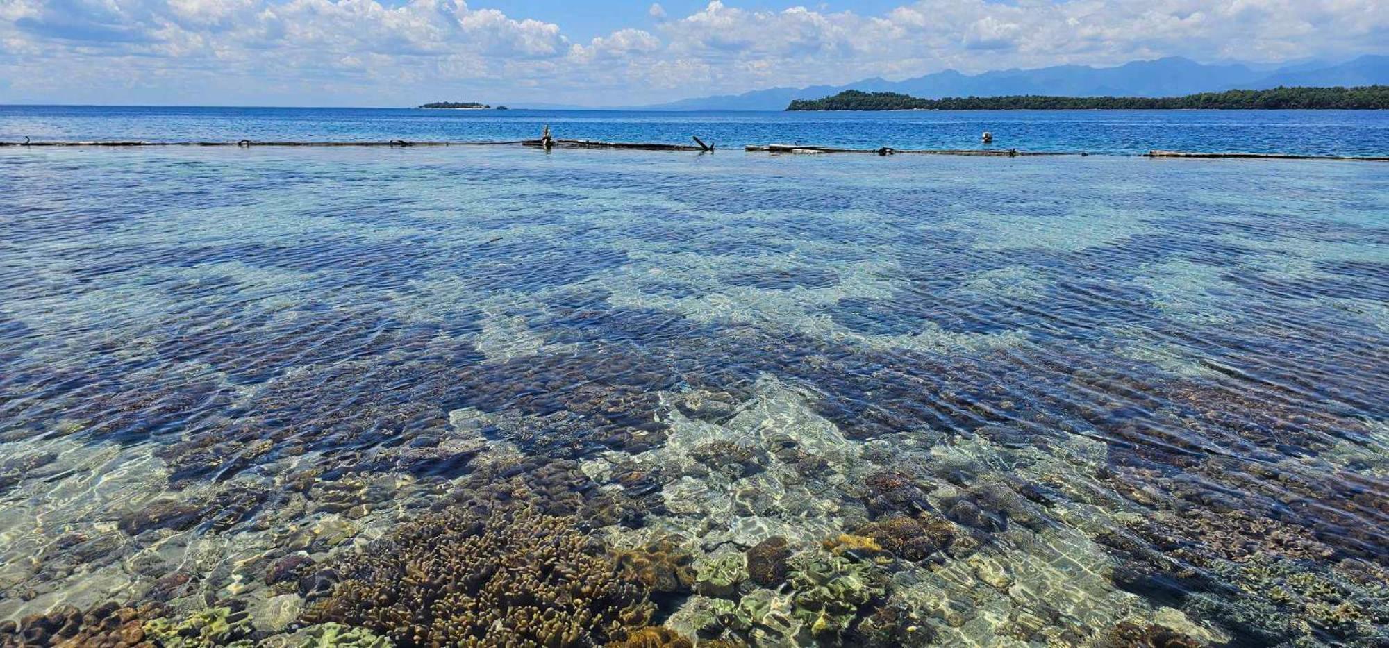 Eagles Nest Beach Resort Davao City Eksteriør billede